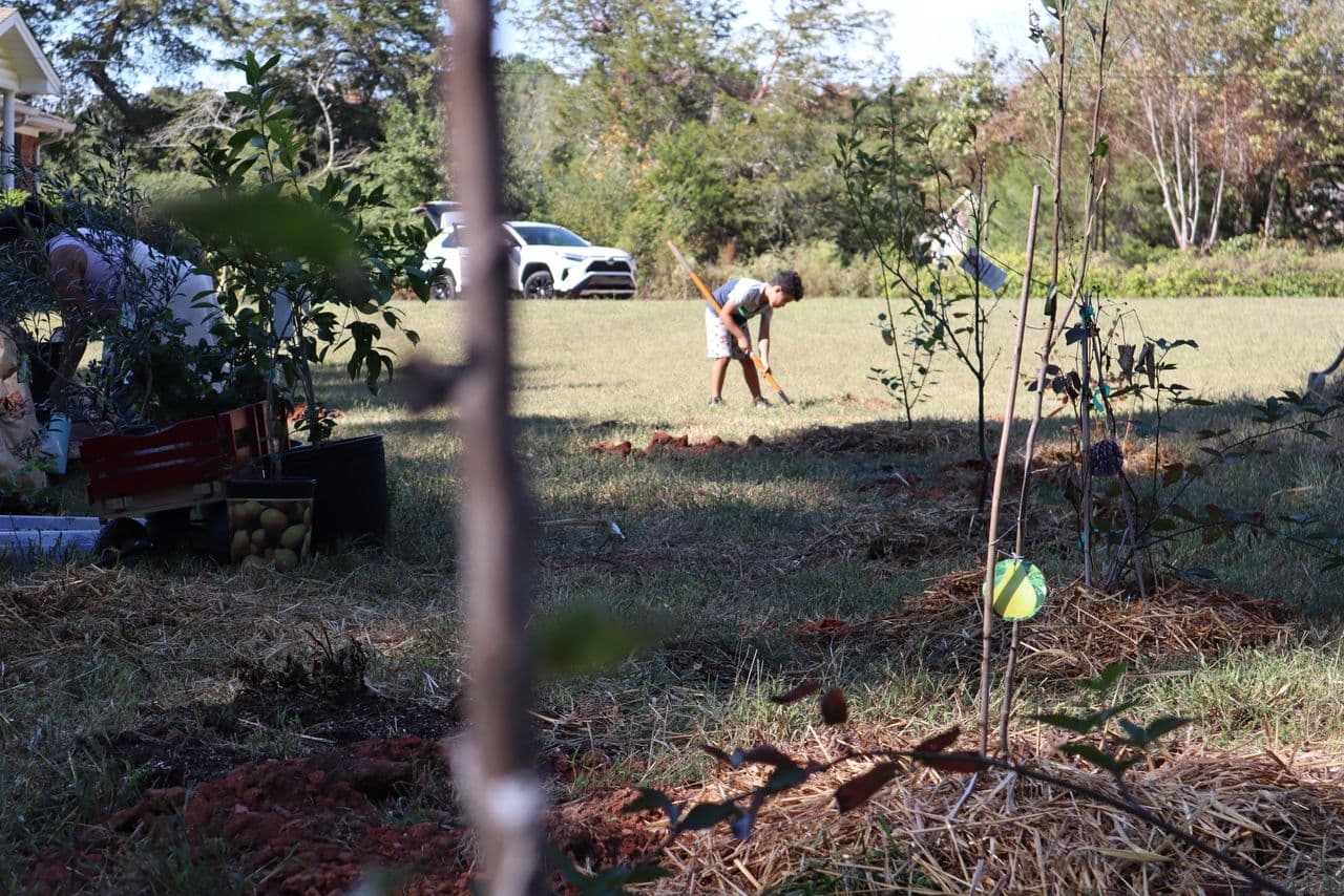 Initial tree planting at Gardner Farmschool