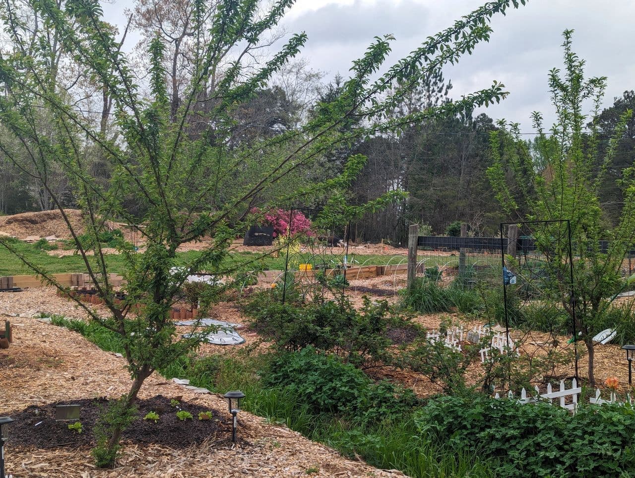 Garden transformation at Gardner Farmschool