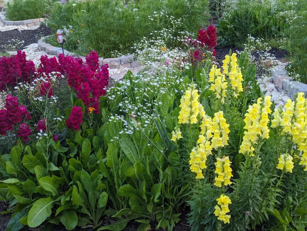 Planting Seeds for the Future – Our Journey & How to Get Involved
