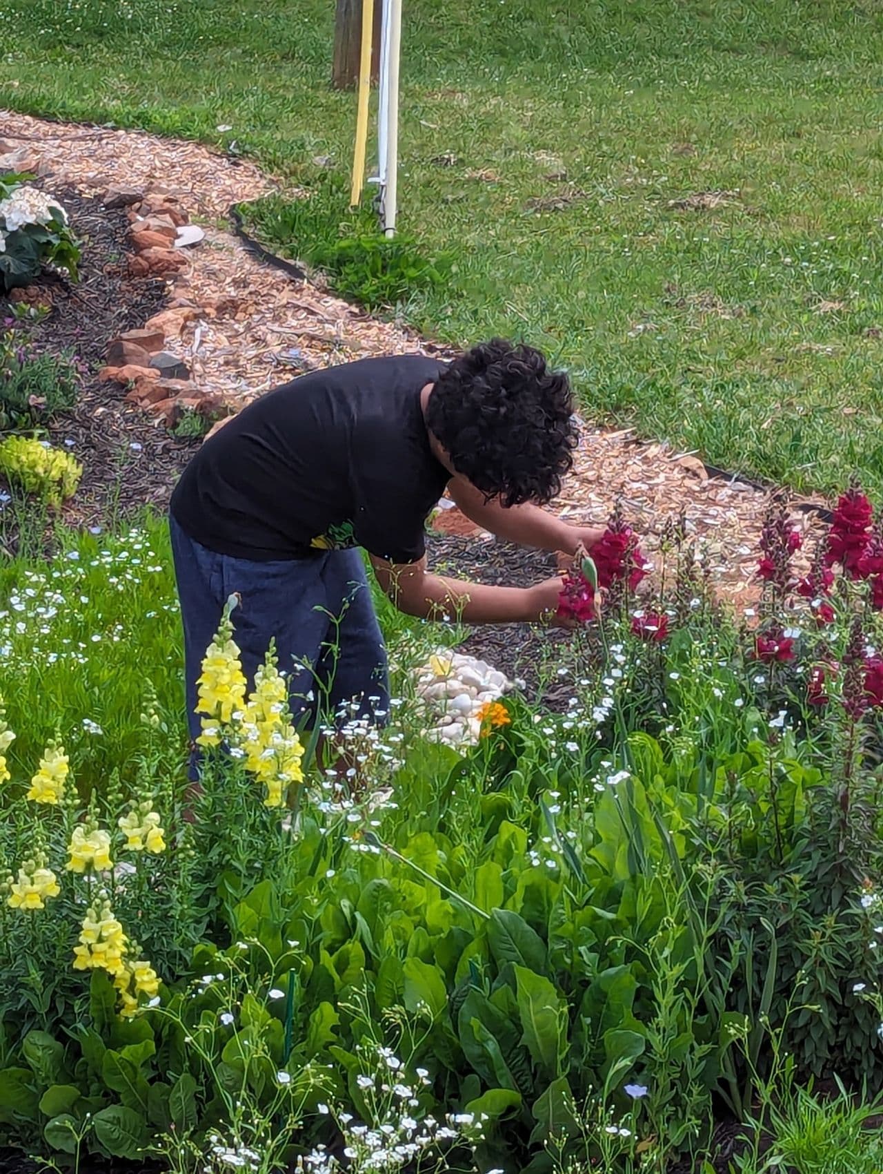 Kids and Gardens: Why Farm-Based Learning Matters
