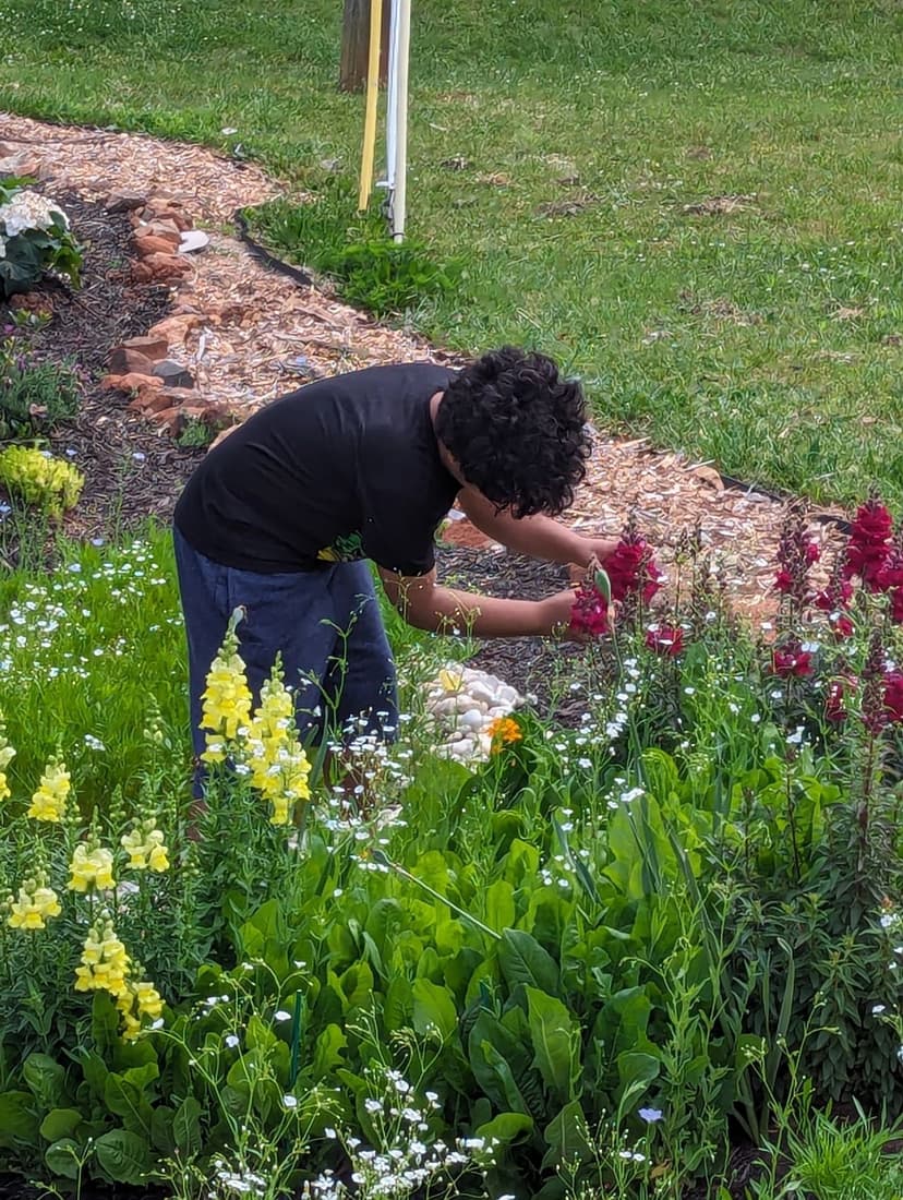 Kids and Gardens: Why Farm-Based Learning Matters