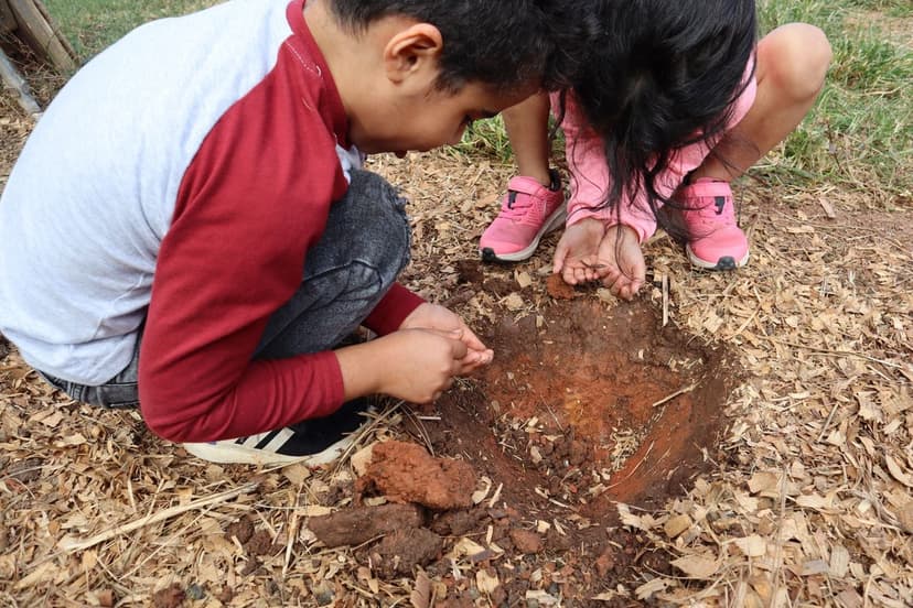 Planting Seeds for the Future – Our Journey & How to Get Involved