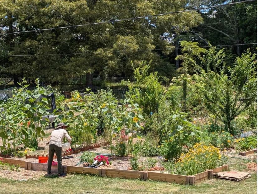 Kids learning in the garden